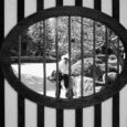 In ‘Off Track,’ a Photographer Finds Beauty on His Caltrain Commute