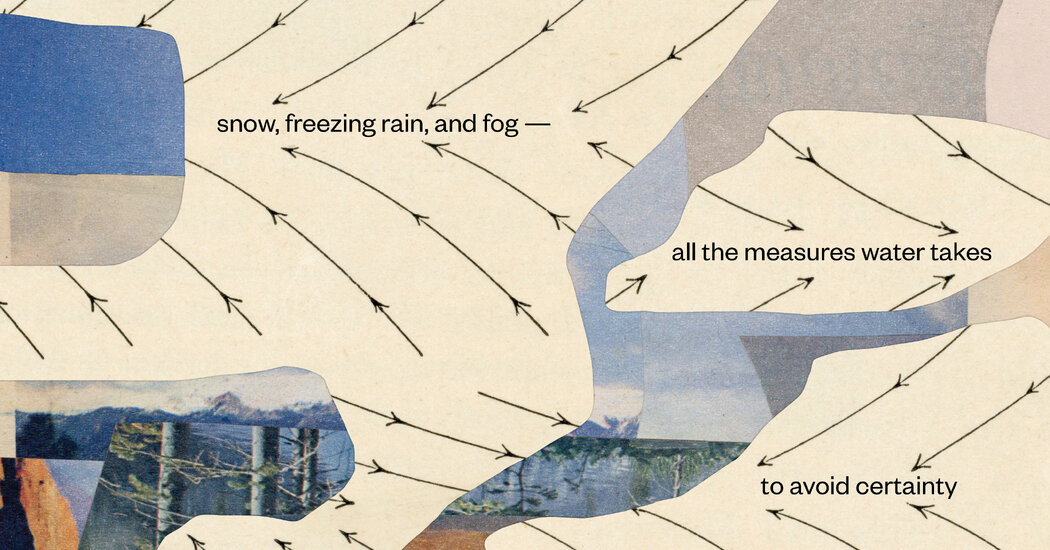 Poetry Review: ‘Wellwater,’ by Karen Solie