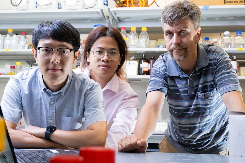Common food bacteria could help make vitamins cheaper, greener