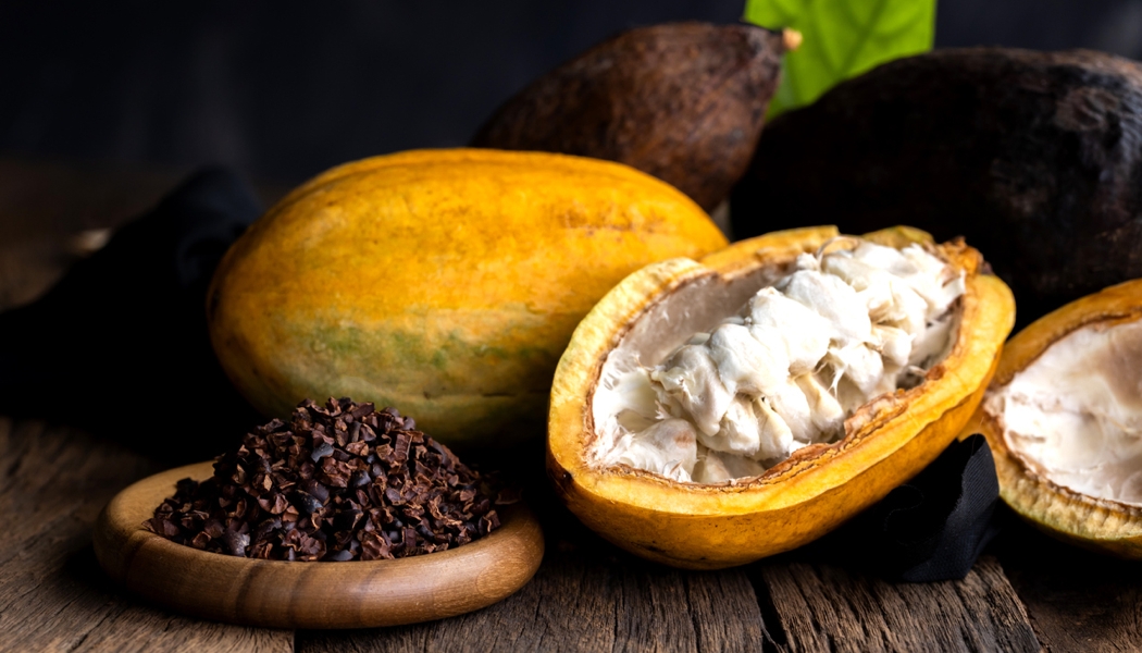 Nutraceuticals: Cocoa takes center stage in Berkem’s wellness push