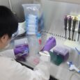 Patented Ingredients Help Malaysian Supplement Brands Stand Out as Wel-Bloom Bio-Tech Expands Market Presence