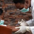 Single-Dose Rabies Vaccine Shows Strong Protection