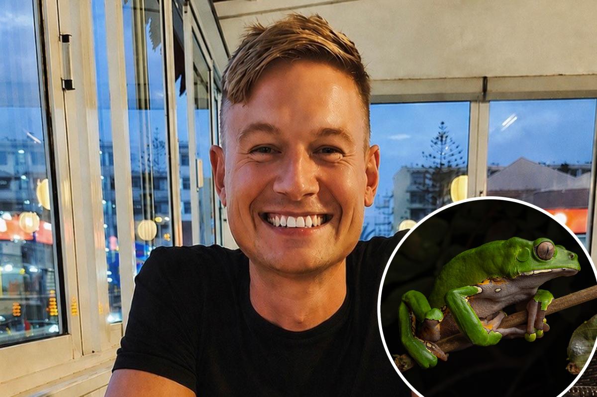 Wellness coach dies after 'detox' ritual involving 'toad vaccine'