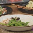 Power up your kids' nutrition with protein bowls to howl over at Lazy Dog