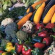 Powerful Fruits and Vegetables, by Charlyn Fargo