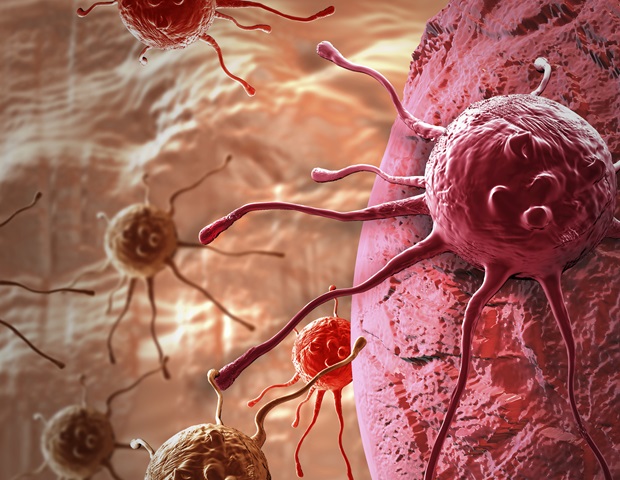 Extracellular vesicles from T cells enhance tumor immune response
