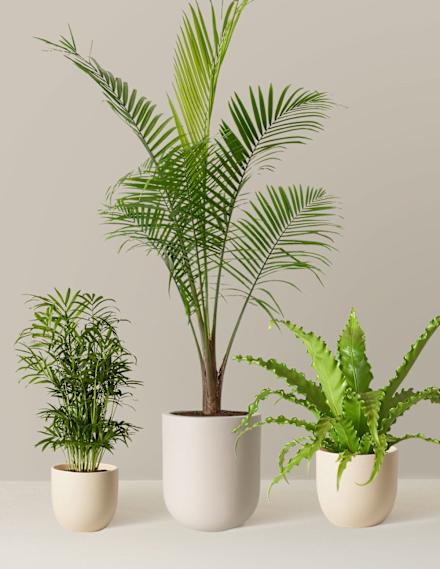 Image for the small product module