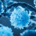 Food timing may shape how T cells respond to infection and therapy