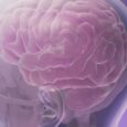 Predicting falls, resetting immune systems and playing pickleball safely