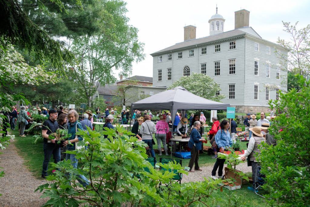Seeds of community: Marblehead garden clubs grow beauty, connection