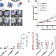 Harnessing pre-existing measles immunity: mRNA-Lipid nanoparticle-mediated measles hemagglutinin expression boosts antitumor CD8⁺ T cell responses