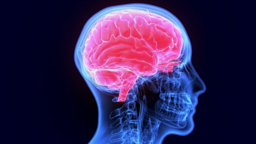 Predicting falls, resetting immune systems and playing pickleball safely