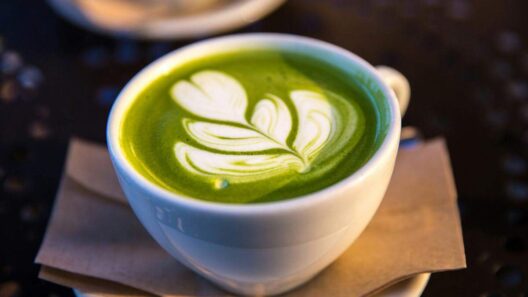 Wellness cafe Café 42 is coming to Pembroke Pines plaza
