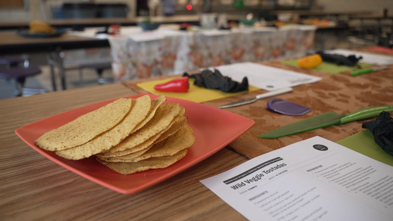 DPS WELLNESS VO MELT veggie tostada
