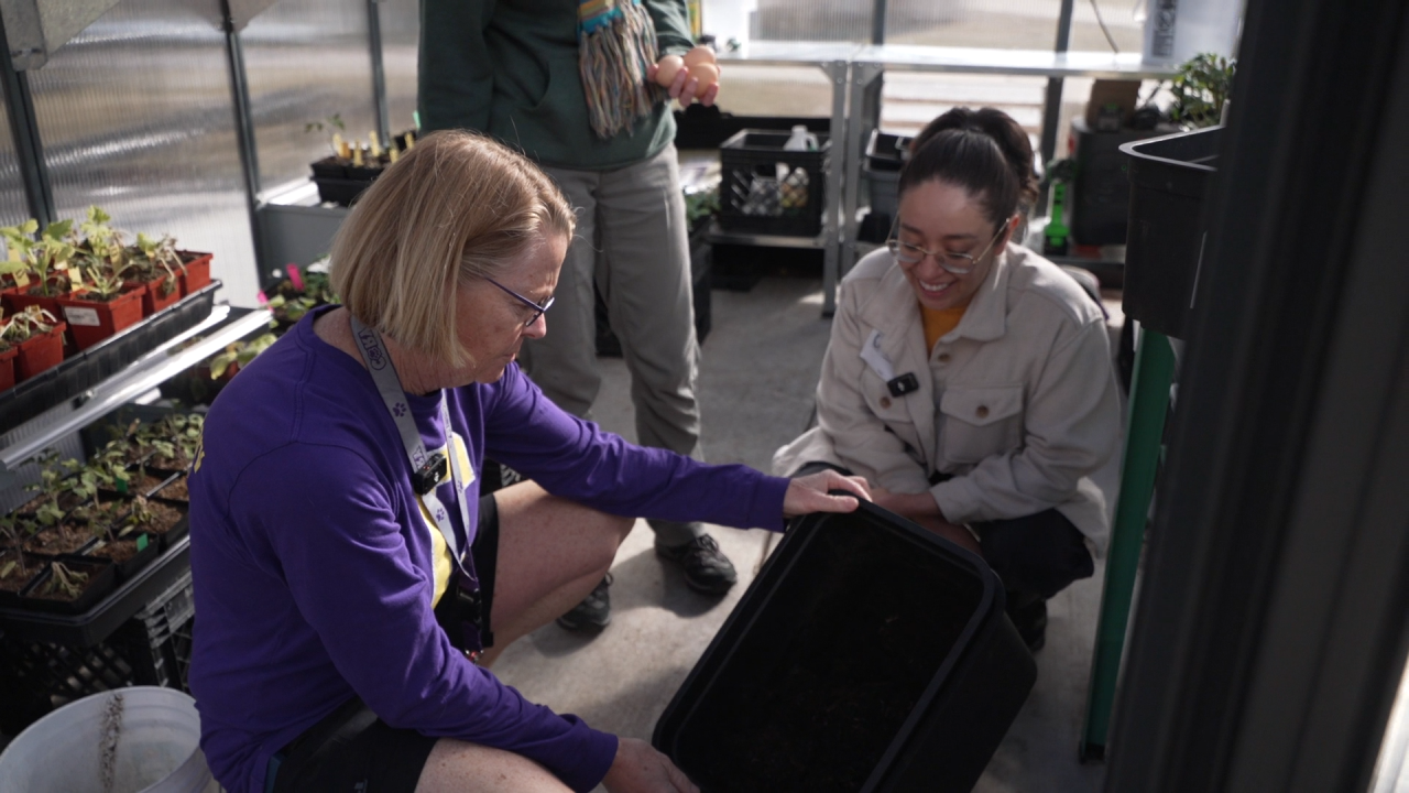 DPS-WELLNESS-PROGRAM PKG greenhouse