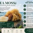 The Moss Way Redefines Everyday Wellness With Premium Organic