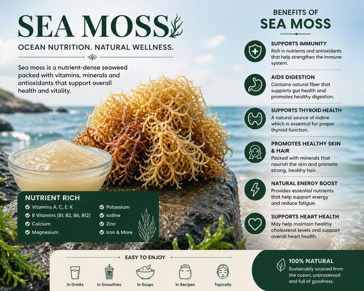 The Moss Way Redefines Everyday Wellness With Premium Organic
