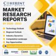 Vitamin C Derivatives Market