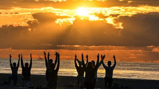 Luxury Wellness Retreats In 2026: Where to Splurge