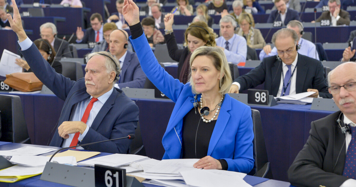 The Committee on Legal Affairs does not want to waive immunity • Table.Briefings
