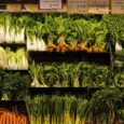 Experts say the right fuel can give you a big energy boost