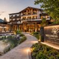 Wellness Hotel Market
