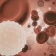 The Science Behind Stem Cell Support Supplements and Their Role in Healthy Aging