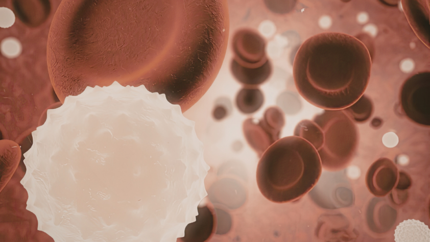 The Science Behind Stem Cell Support Supplements and Their Role in Healthy Aging