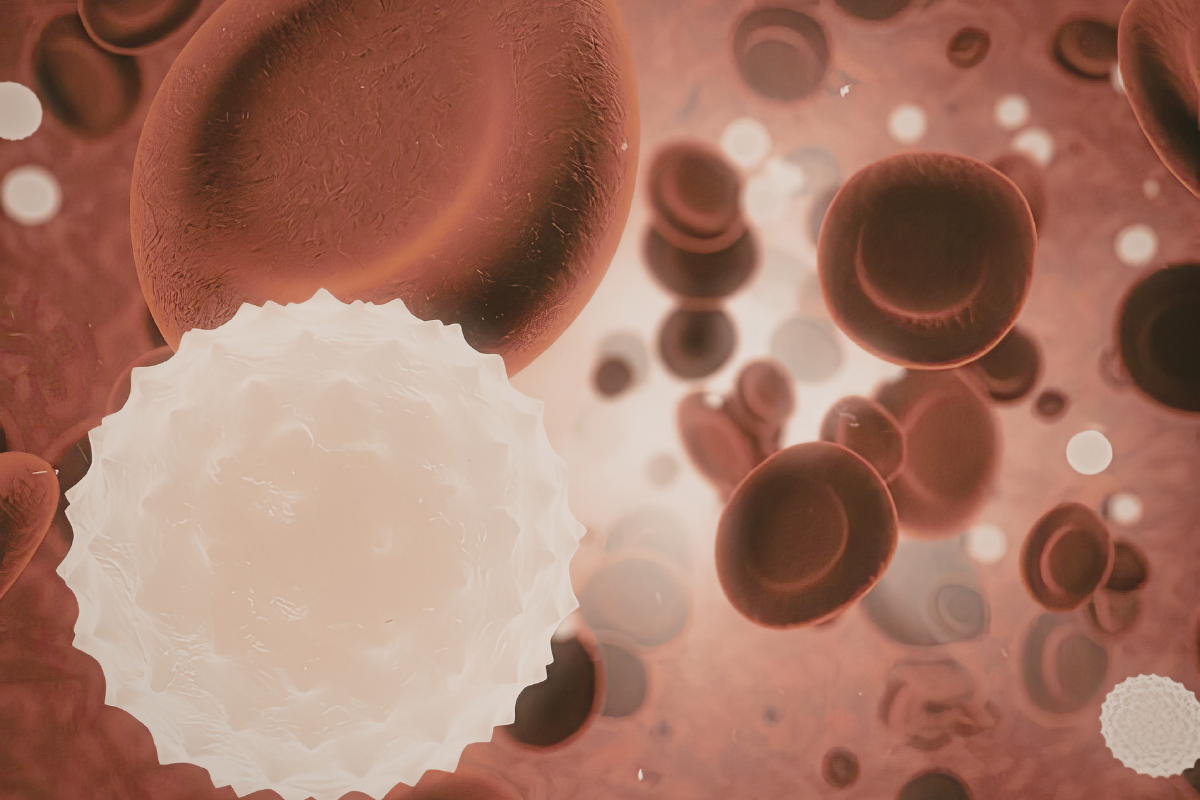 The Science Behind Stem Cell Support Supplements and Their Role in Healthy Aging