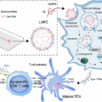 LNP-based delivery of a Toll-like receptor 9 agonist elicits potent adjuvant effects and antitumor immunity