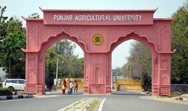 82 women farmers attend training camp on health, nutrition