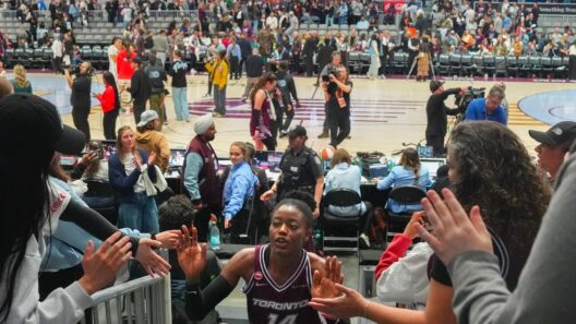 Toronto's first WNBA game is no thing of beauty, but sellout crowd finds plenty to cheer