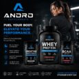 Andro Supplements Market Growth 2026