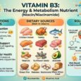 Vitamin B3 Market