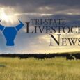 USDA releases interim final rule on whole milk in nutrition programs