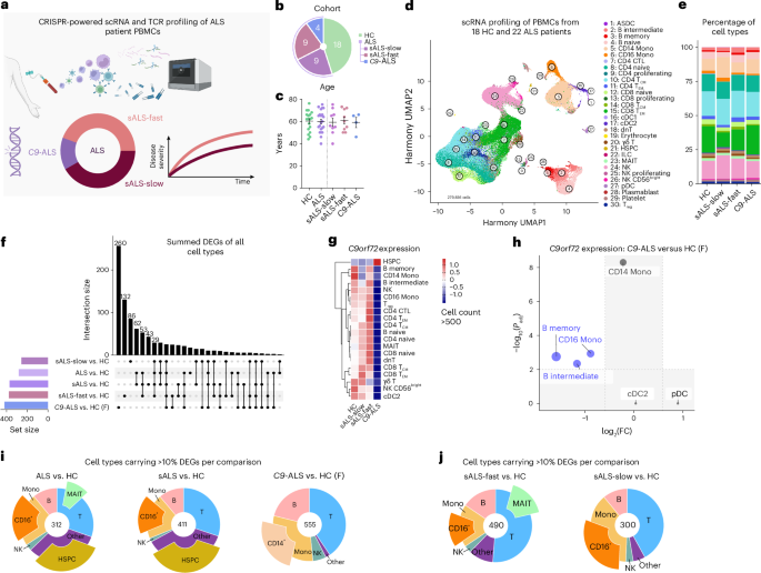 Integrated single-cell and spatial transcriptomic profiling in ALS ...