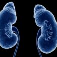 Researchers uncover immune mechanisms behind polycystic kidney disease progression