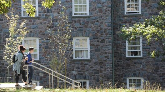 Dalhousie launches “Bag of Ideas” to put campus wellness in everyone’s hands - Dal News