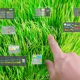 Can AI help build a fairer food system from farm to plate?