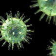 The Epstein-Barr virus is one of the most common human viruses in the world and spreads mostly through saliva. (Photo Credit: Kateryna Kon/Dreamstime)