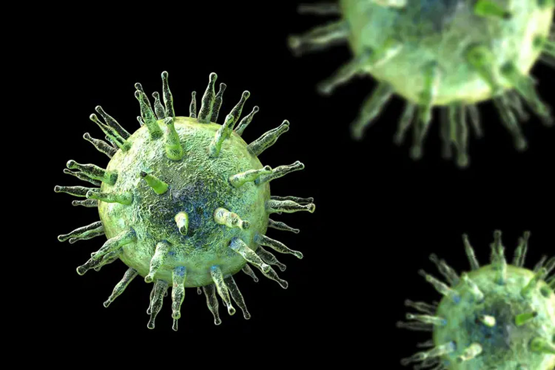 The Epstein-Barr virus is one of the most common human viruses in the world and spreads mostly through saliva. (Photo Credit: Kateryna Kon/Dreamstime)