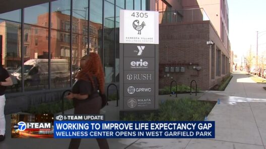 Life expectancy by ZIP code can vary, but Rush University Medical Center and Sankofa Village Wellness Center work to close the gap