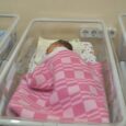 Pediatricians urge parents to give newborns vitamin K shot to prevent bleeding