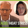 Feed Talks about heat stress in pigs and poultry