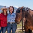 Equine-based organizations zeros in on wellness and balance