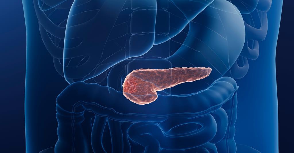New dual-action drug candidate extends survival in pancreatic cancer models
