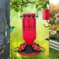 Save up to 58% off During Amazon’s Secret Outdoor Sale