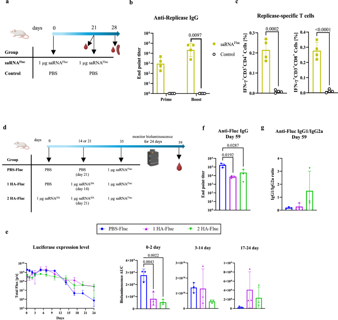 Impact of pre-existing anti-replicase immunity on the efficacy of self-amplifying mRNA vaccines
