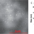 Maturation-deficient chikungunya virus elicits protective immune responses in a murine challenge model