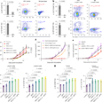Dual targeting of PI3Kγ and STING overcomes regulatory B cell- and myeloid cell-driven immune suppression in pancreatic cancer